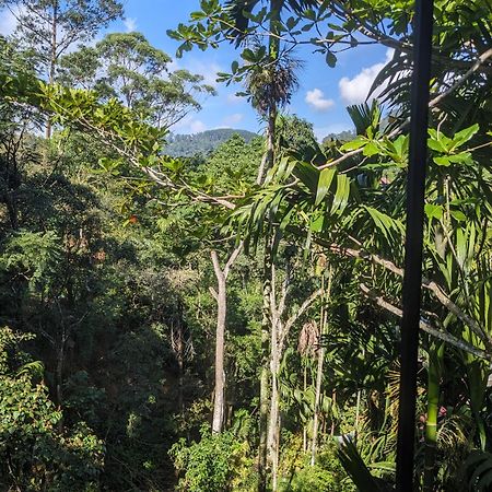 Ella Jungle Inn Homestay And Tree House Exterior foto