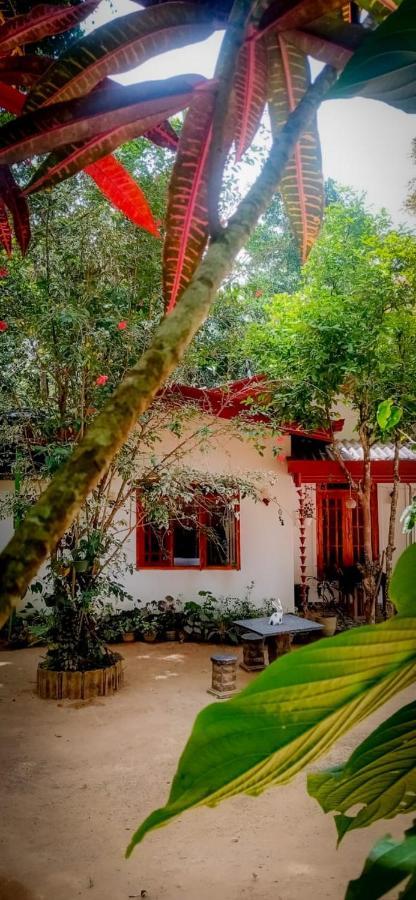 Ella Jungle Inn Homestay And Tree House Exterior foto