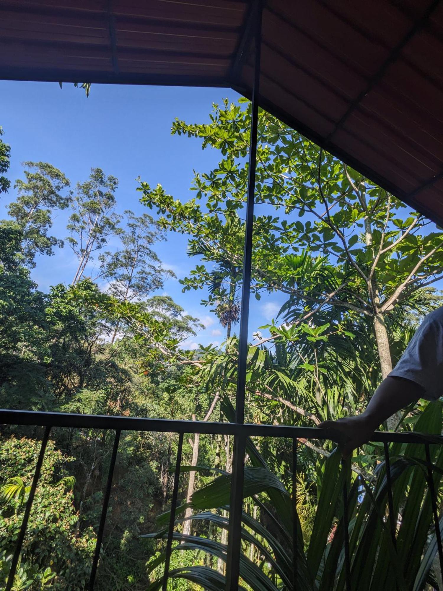 Ella Jungle Inn Homestay And Tree House Exterior foto