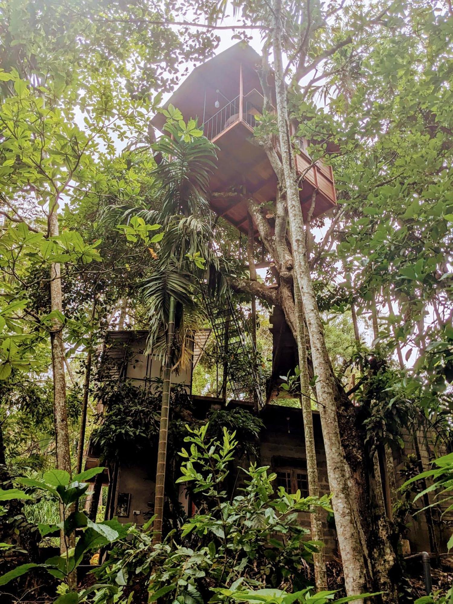 Ella Jungle Inn Homestay And Tree House Exterior foto