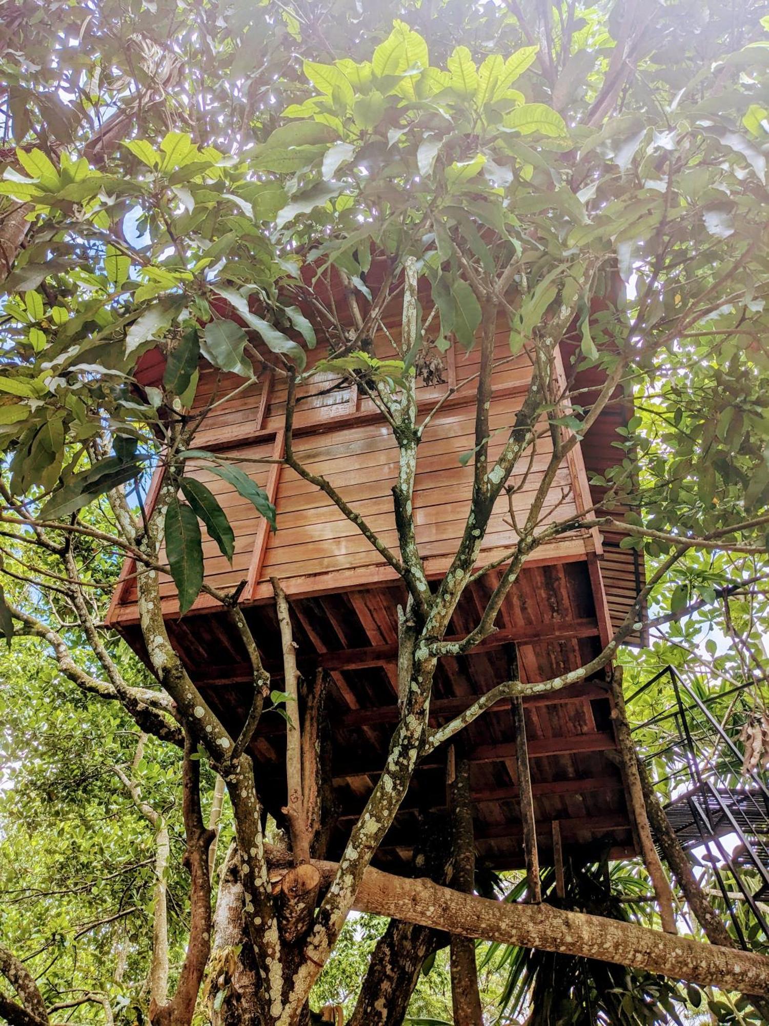 Ella Jungle Inn Homestay And Tree House Exterior foto