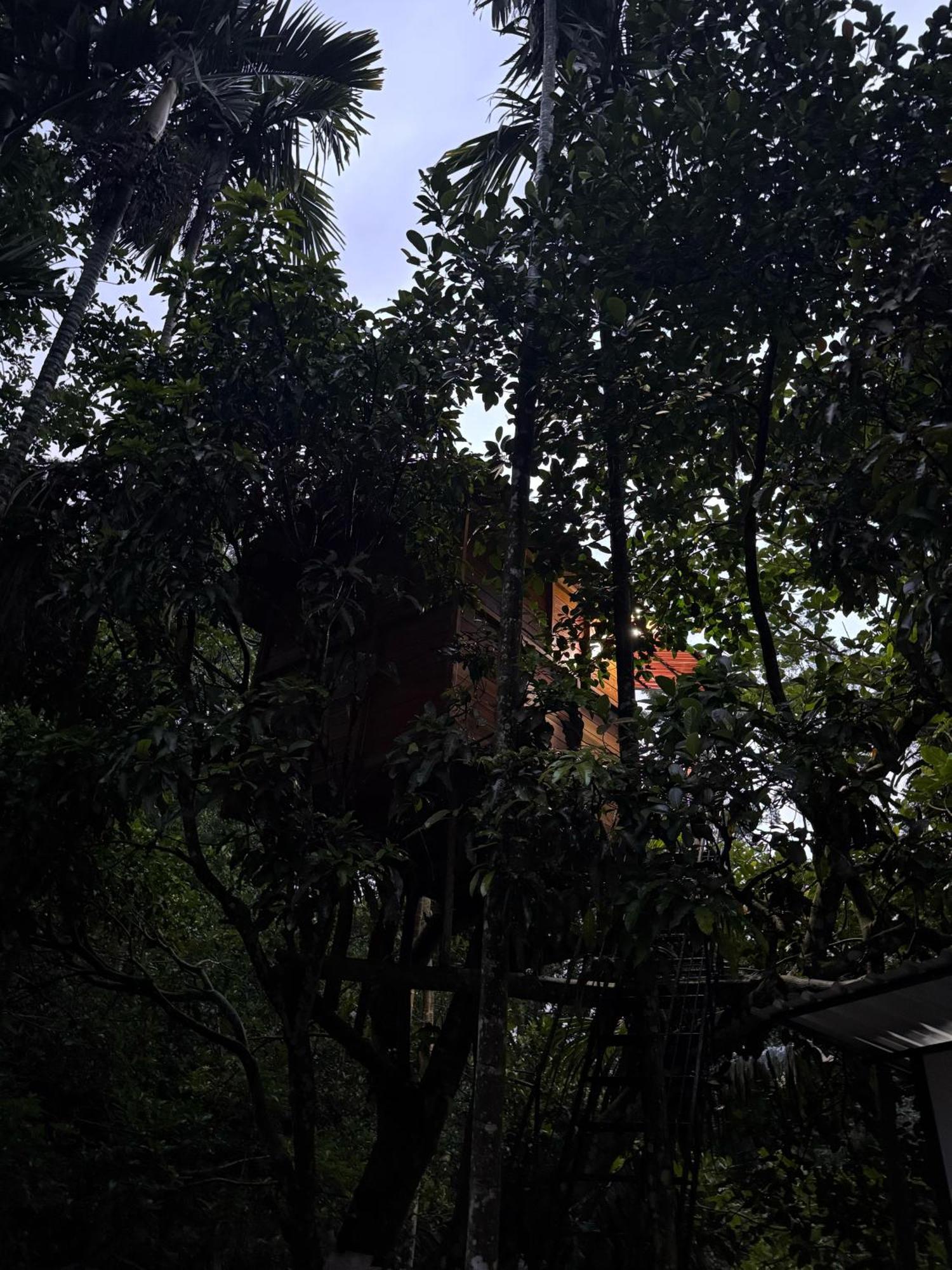 Ella Jungle Inn Homestay And Tree House Exterior foto