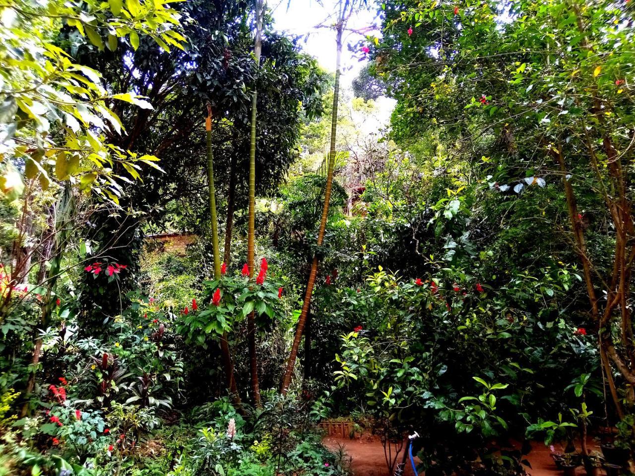 Ella Jungle Inn Homestay And Tree House Exterior foto