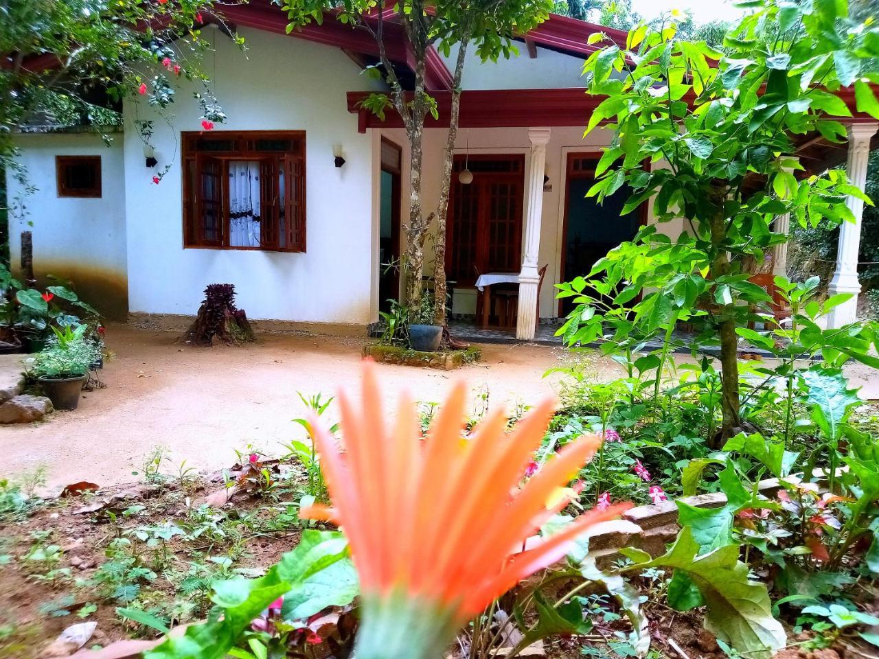 Ella Jungle Inn Homestay And Tree House Exterior foto