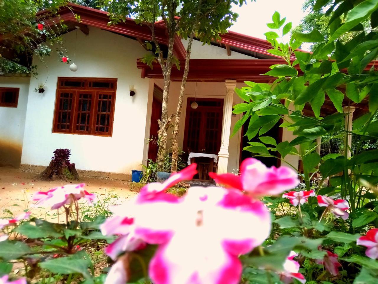 Ella Jungle Inn Homestay And Tree House Exterior foto