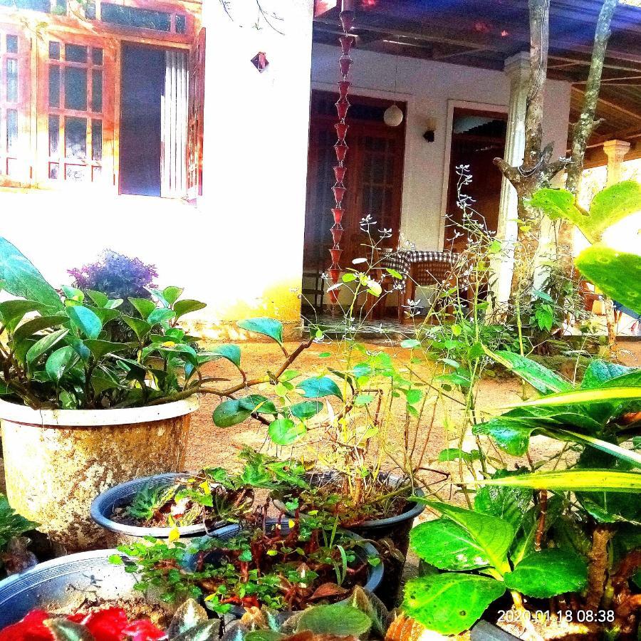 Ella Jungle Inn Homestay And Tree House Exterior foto